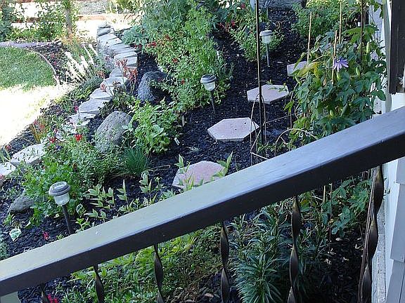 Front garden.