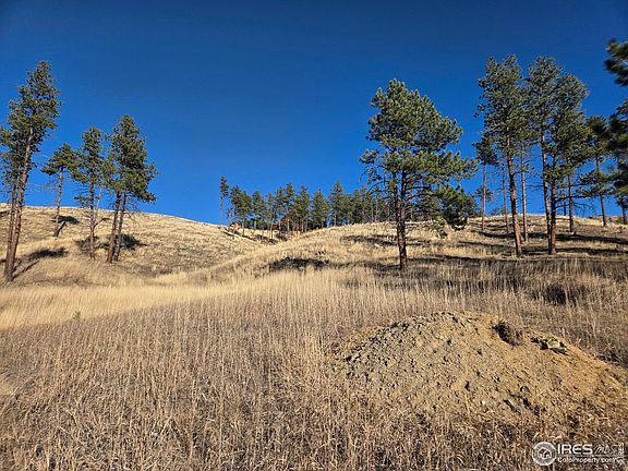 5th image of 620 Davis Ranch Rd