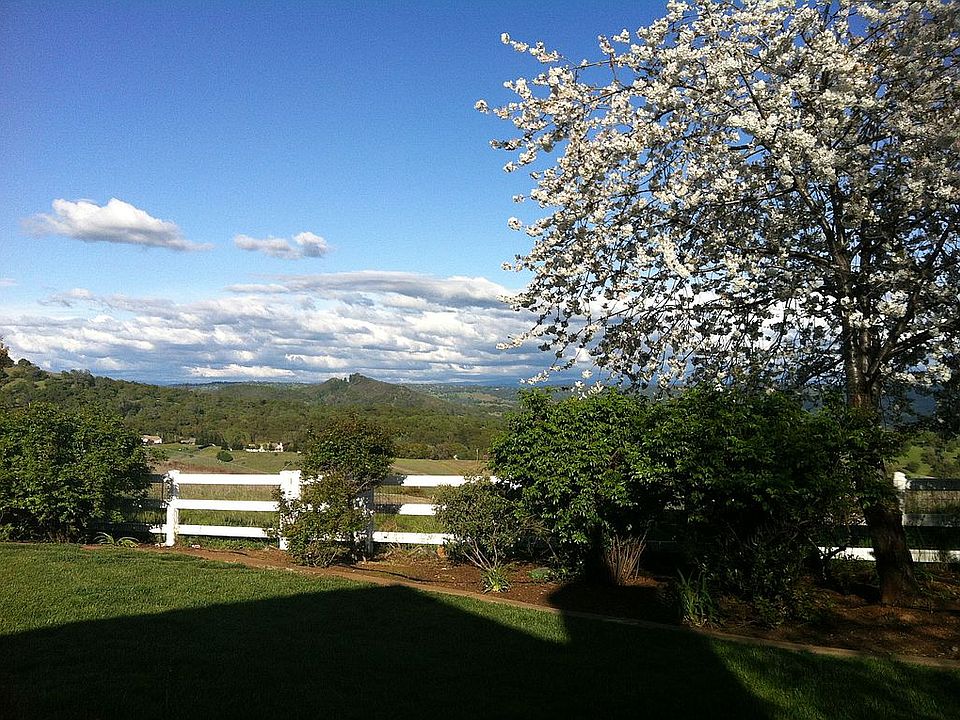springtime view