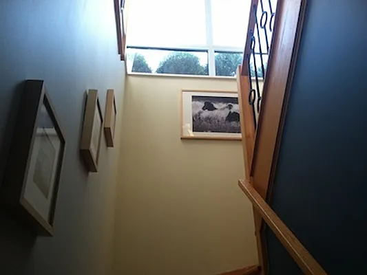 Rented by Fiddler Realty | media 60