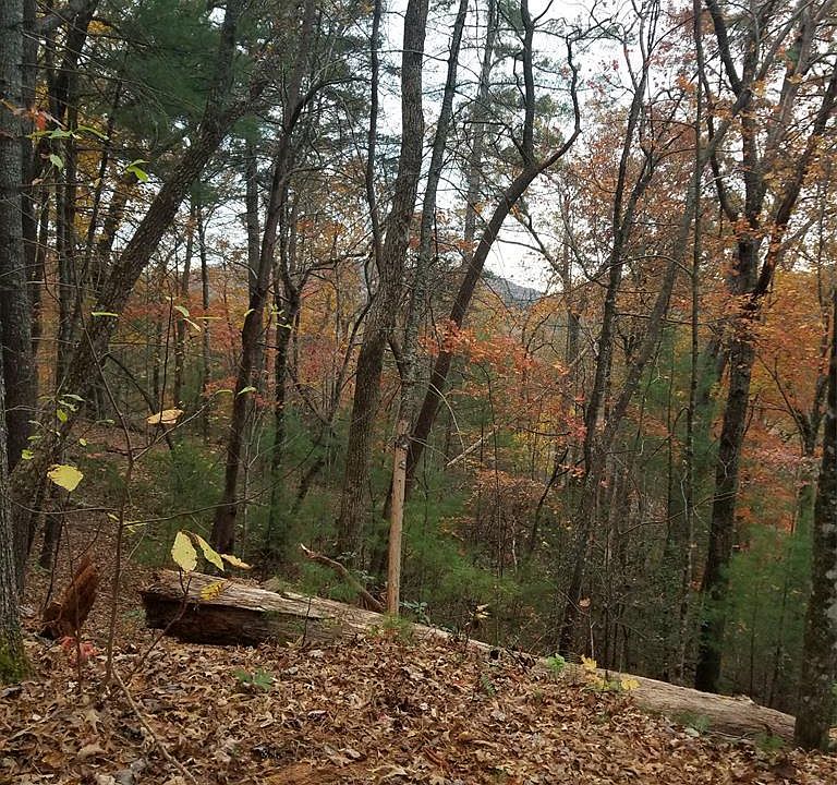 2nd image of 333 Fox Trot Rd