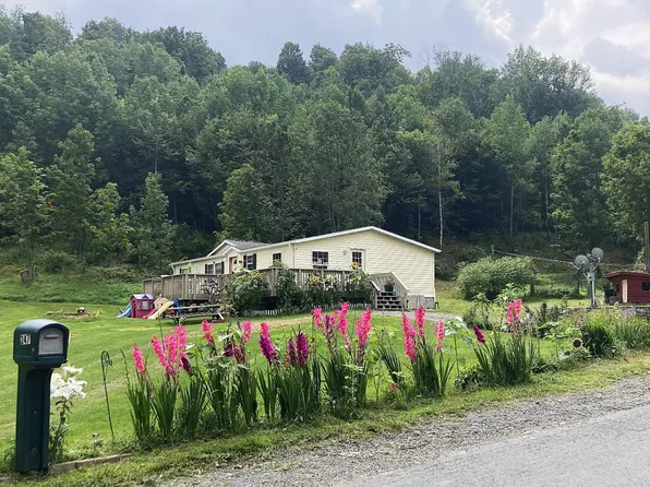 247 Truesdell Rd, Prattsville, NY 12468