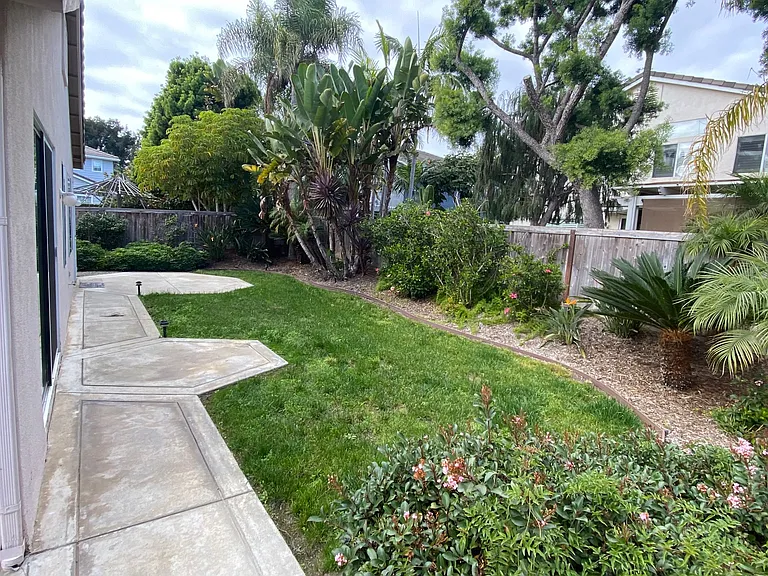 Backyard west view