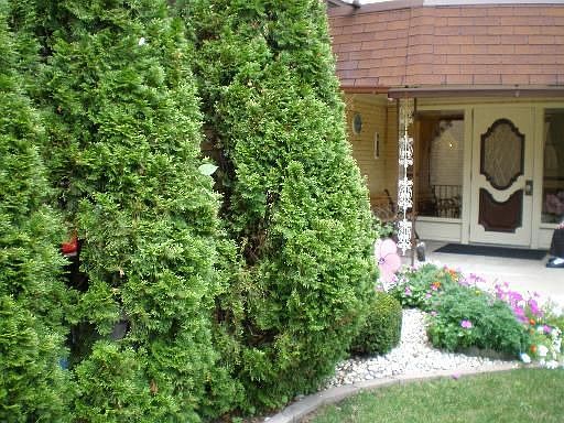 1st image of 6400 W Belle Plaine Ave APT 410
