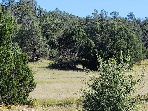 320 W Falling Leaf Rd, Seligman, AZ 86337