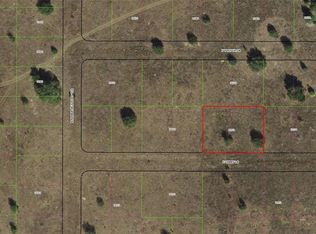 2307 E Tabby Ln Lot 5, Inverness, FL 34453