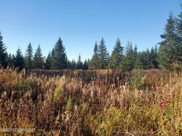 67787 Shavila Rd, Ninilchik, AK 99639