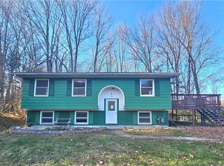 19 Webster Rd, Pine City, NY 14871