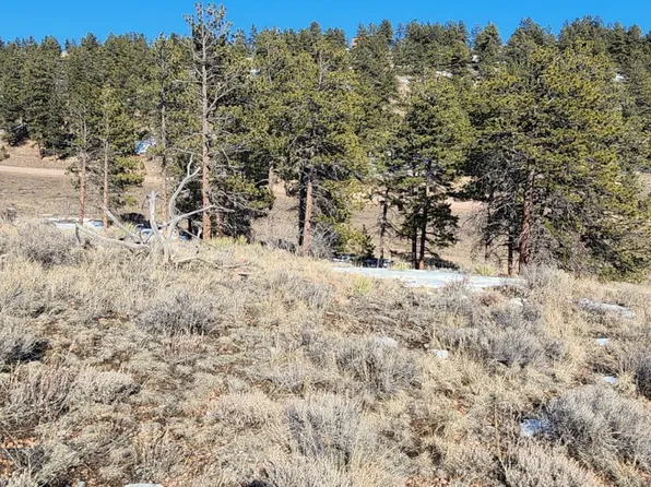 393 County Road 321, Westcliffe, CO 81252