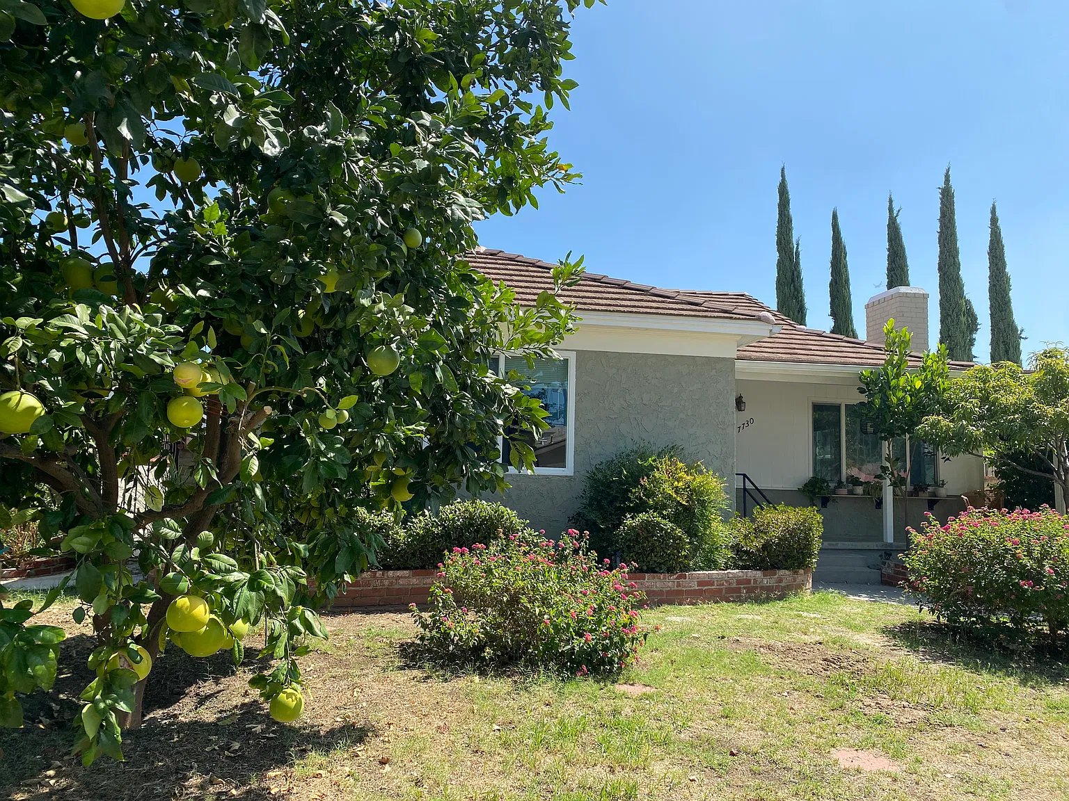 7730 Aldea Ave — Photo 4