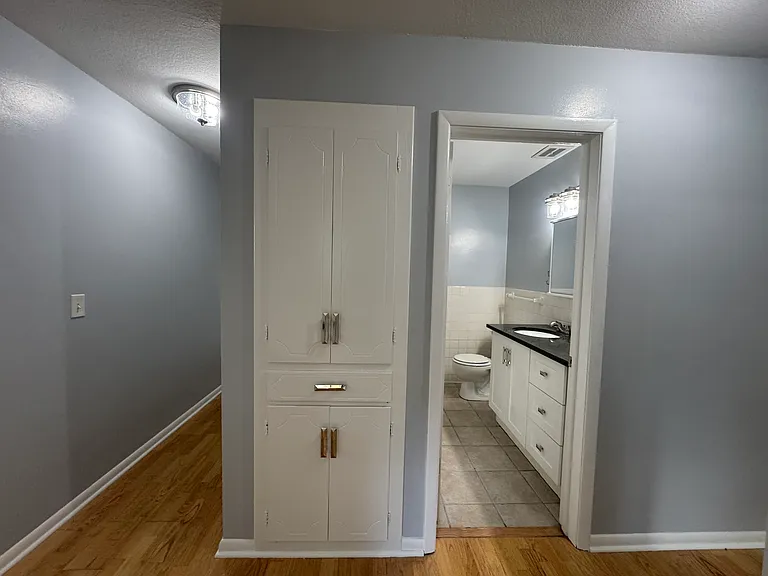 Linen Closet and Bath entry