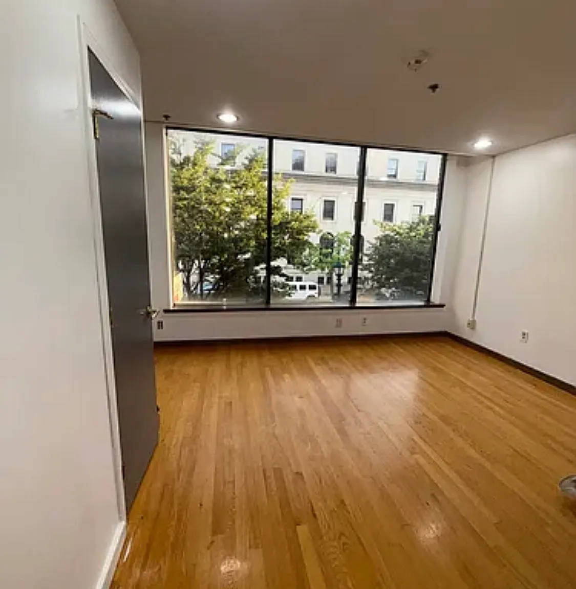 1 bed, 800 sqft, $1,295 — Photo 4