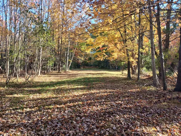 W Branch St, Pentwater, MI 49449