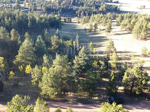 115 Steel Bit Dr, Lake George, CO 80827