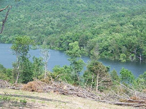 4th image of 531 Black Bear Trl