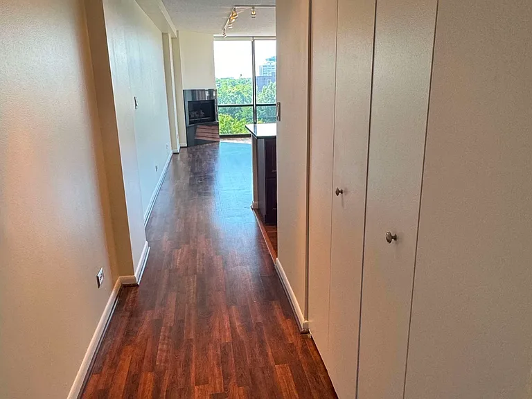 1309 N Wells St #501 — Photo 11