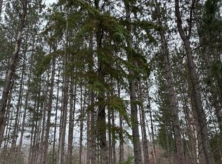 Swamp Lake Rd #4069-9, Tomahawk, WI 54487