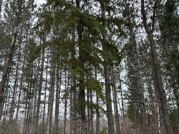 Swamp Lake Rd #4069-9, Tomahawk, WI 54487