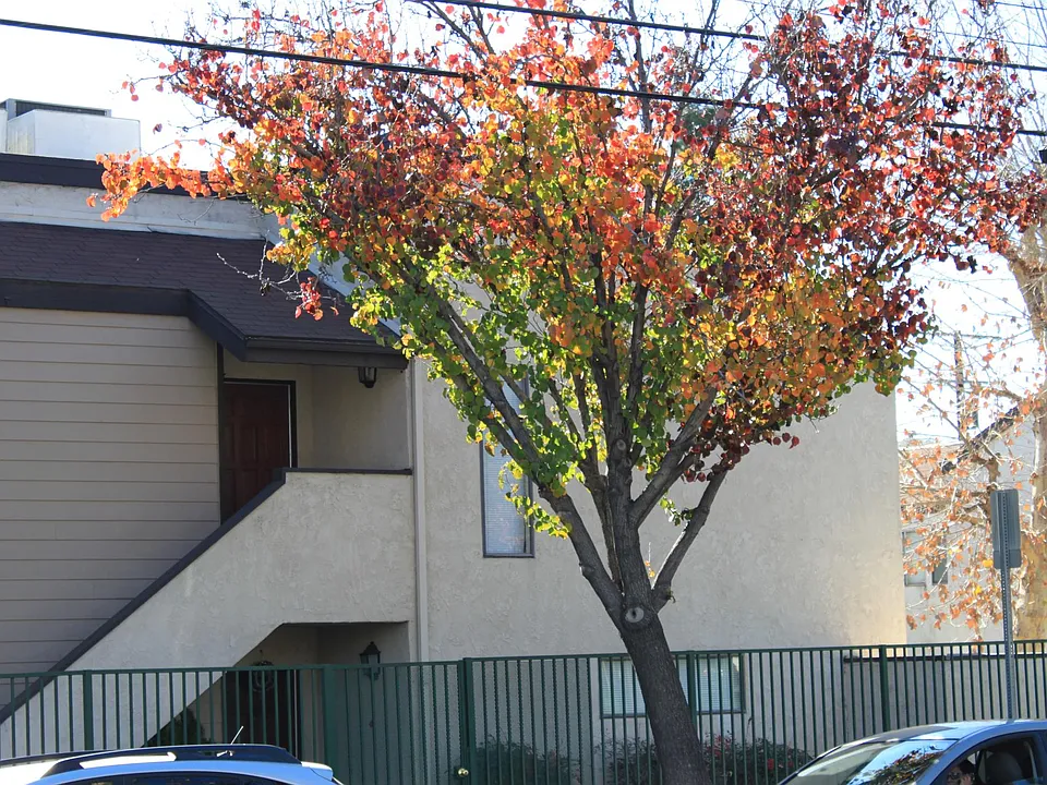 324 N San Antonio Ave