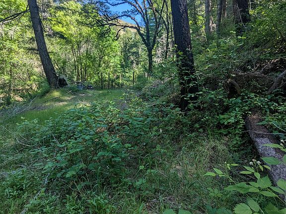 5th image of 0 Skaggs Springs Road