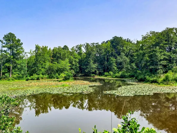 McDade Rd, Carbon Hill, AL 35549