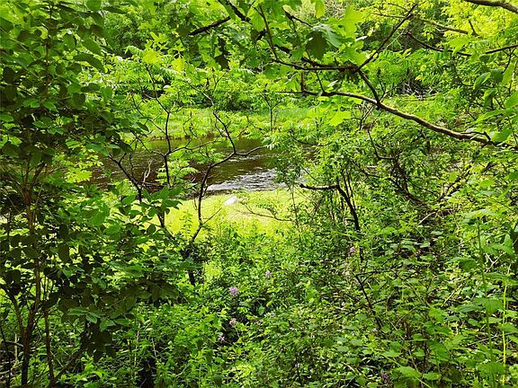 4th image of 1.35 Acres on Isabella Lane