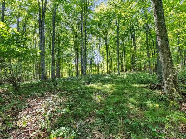 N West Hill Rd, Iola, WI 54945