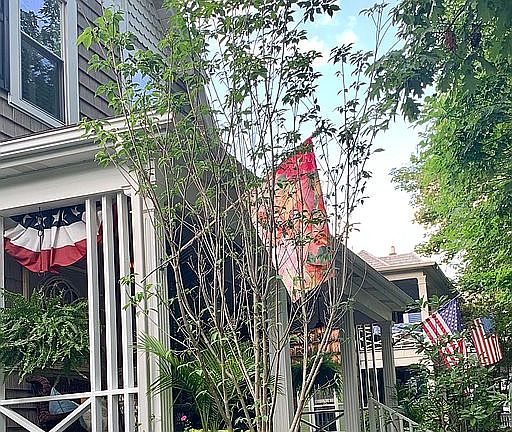2nd image of 509 Tupper St