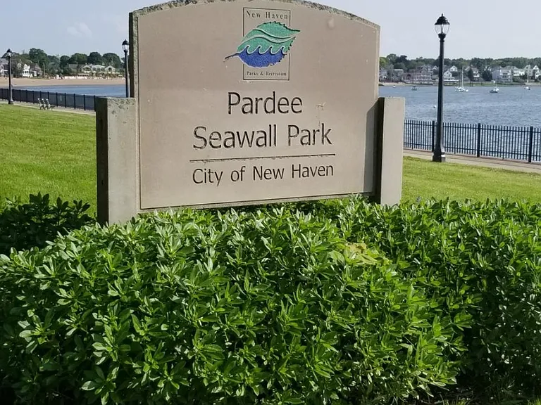 Steps to our beautiful Pardee Sea Wall