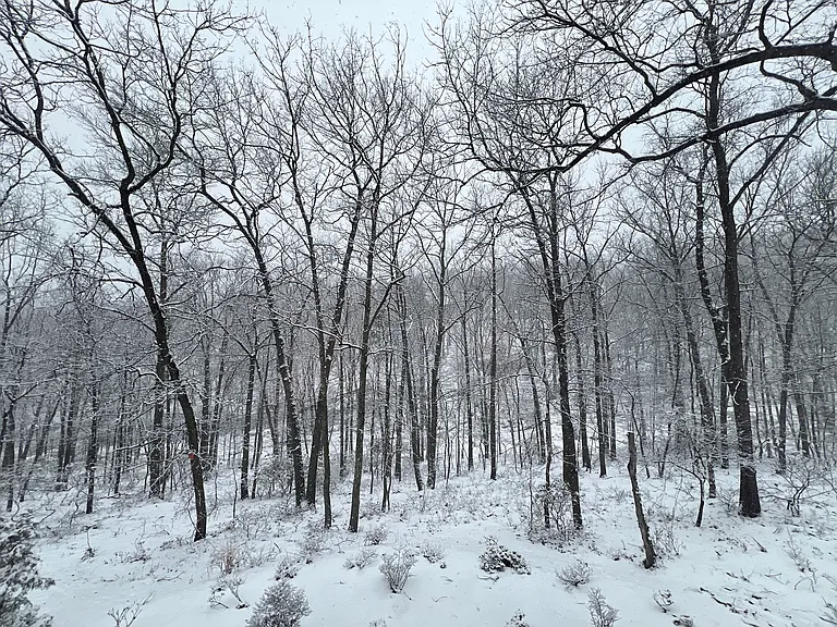 Lookout Rdg — Photo 37