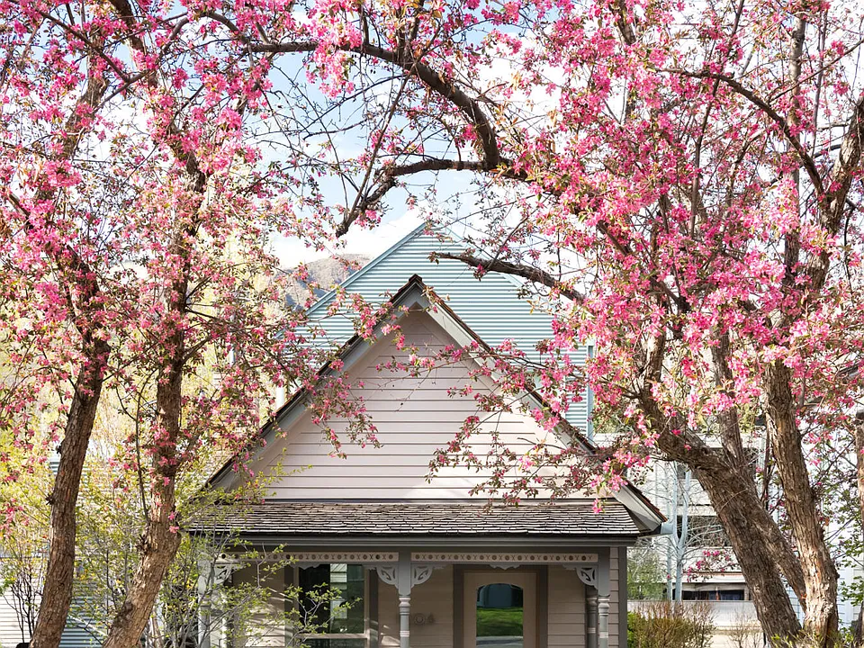 1006 E Cooper Ave