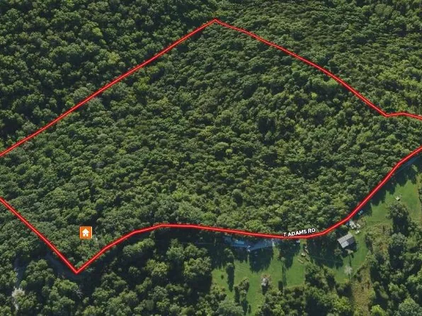 1039 Adams Rd, Williamstown, KY 41097