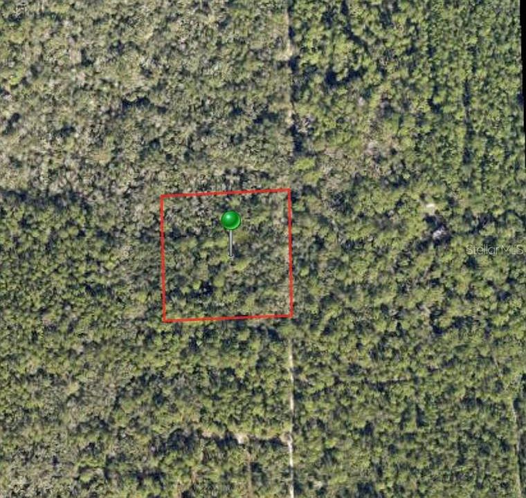 1st image of Lake Harney Rd