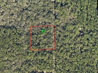 Lake Harney Rd, Osteen, FL 32764