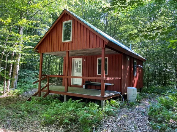 71 Kimball Camp Rd, Kimball, NY 13144