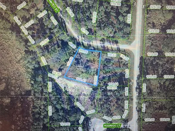 8674 San Mateo St Lot 2, Sebring, FL 33872