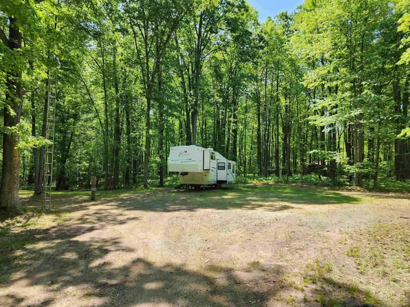 4239 White Birch Ln, Farwell, MI 48622