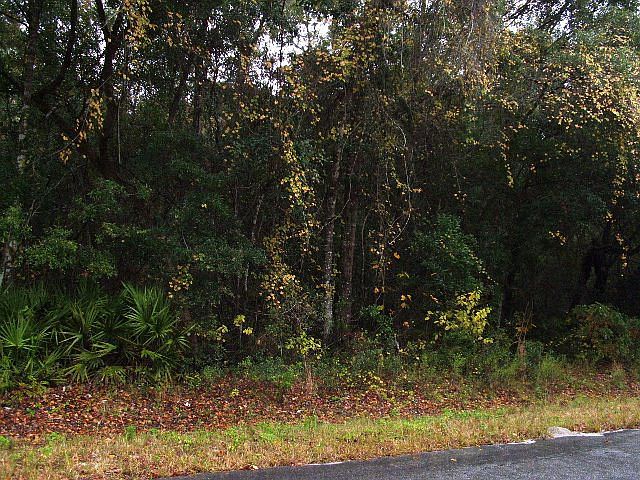 1st image of  NE 558th St