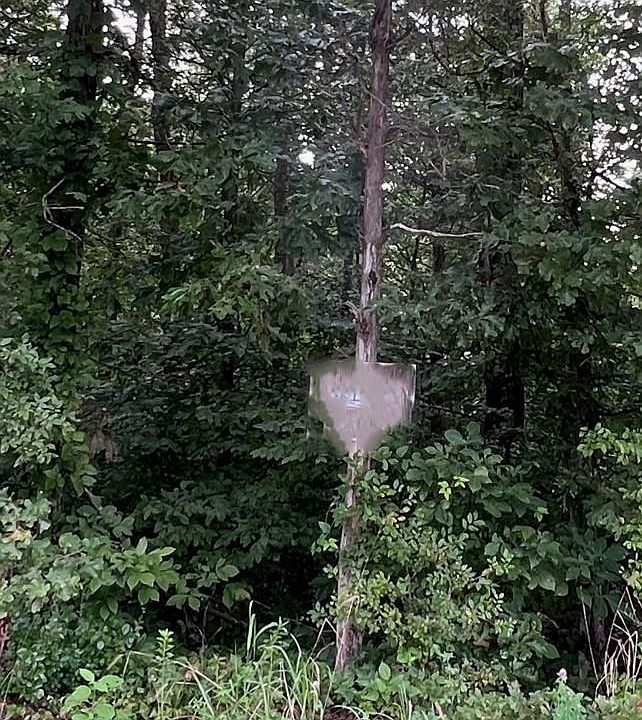 2nd image of 0 Sandridge Ln #1