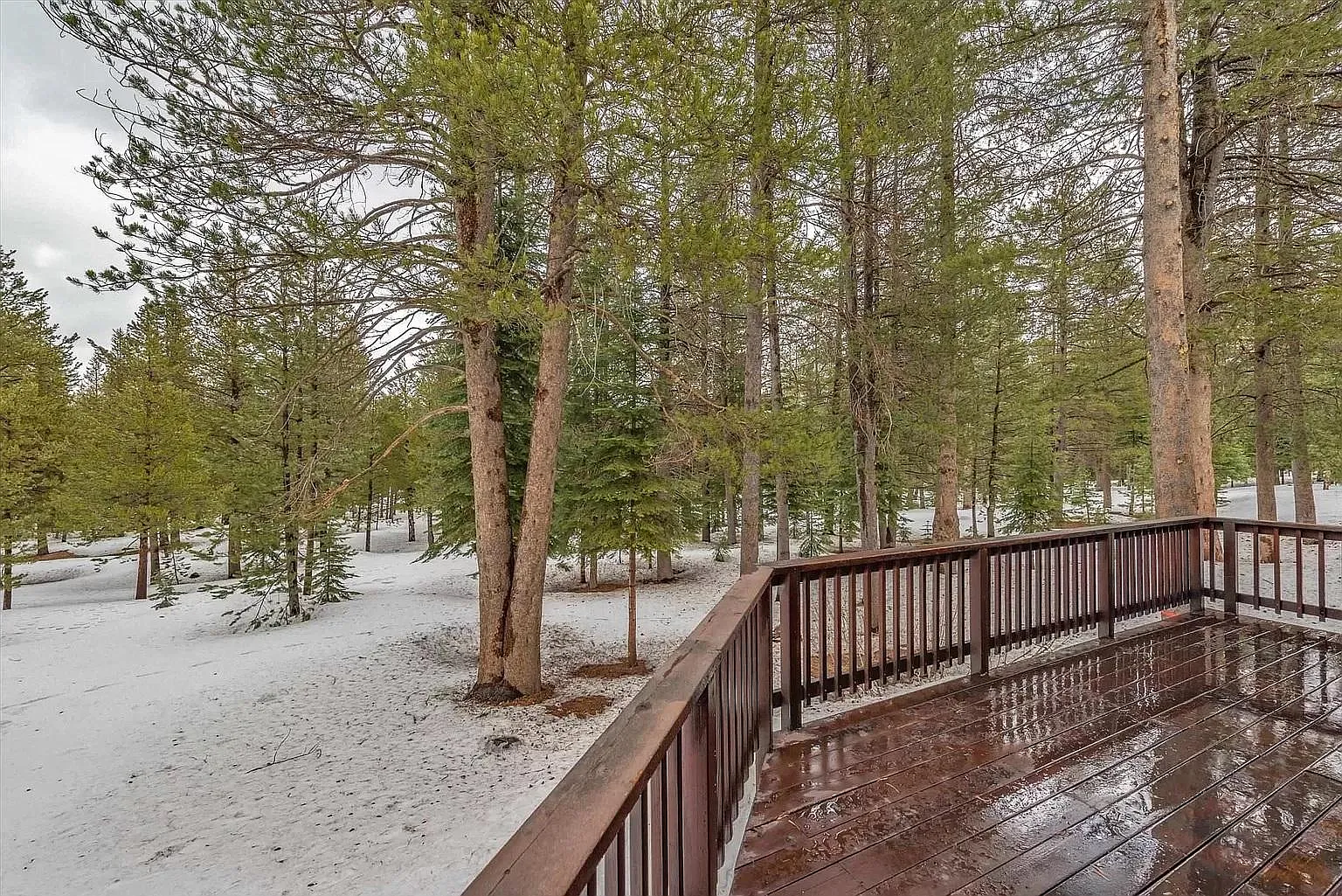 11355 Northwoods Blvd — Photo 4
