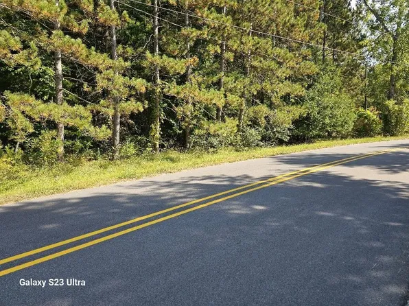 Vl 4 5 N Branch Dr, Beaverton, MI 48612