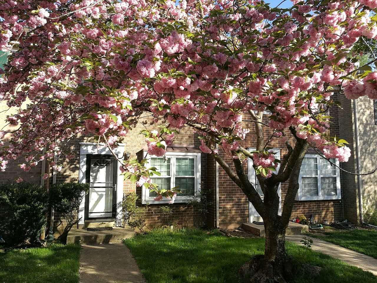 15709 Ambiance Dr, North Potomac, MD 20878 Zillow