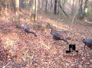 149 Dog Creek Ln, Caneyville, KY 42721