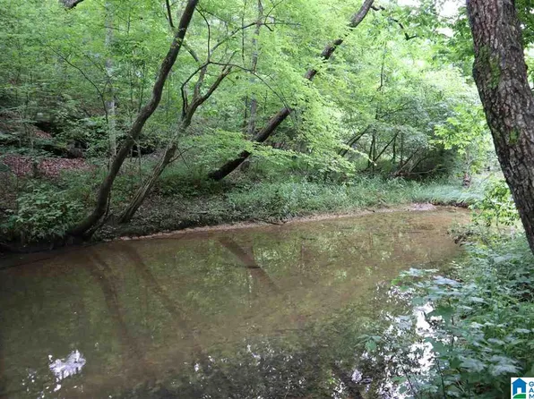 0 County Road 61, Fruithurst, AL 36262