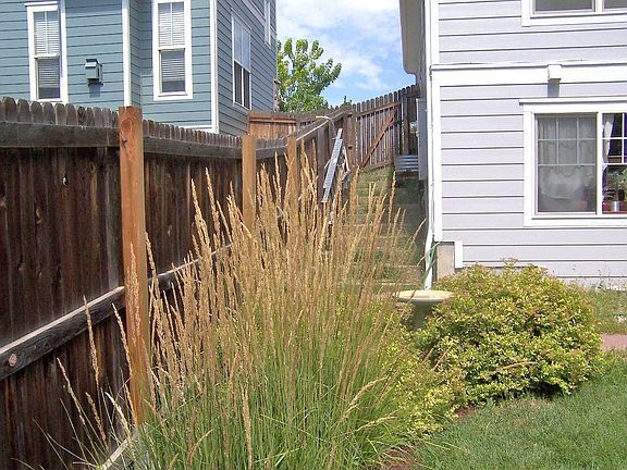 Back west side of yard