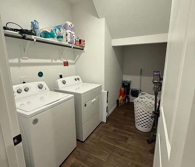 21202 Frosted Fern Ln — Photo 13