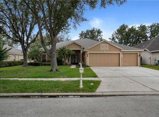 10233 Shadow Branch Dr, Tampa, FL 33647