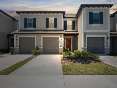 31970 Blue Passing Loop, Wesley Chapel, FL, 33545