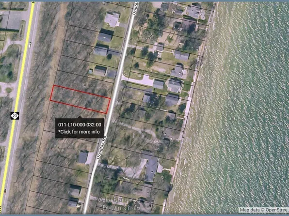 Douglas Dr, Tawas City, MI 48763