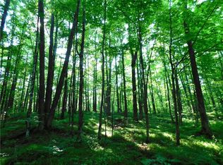 80 Acres off of County Road O, Ogema, WI 54459